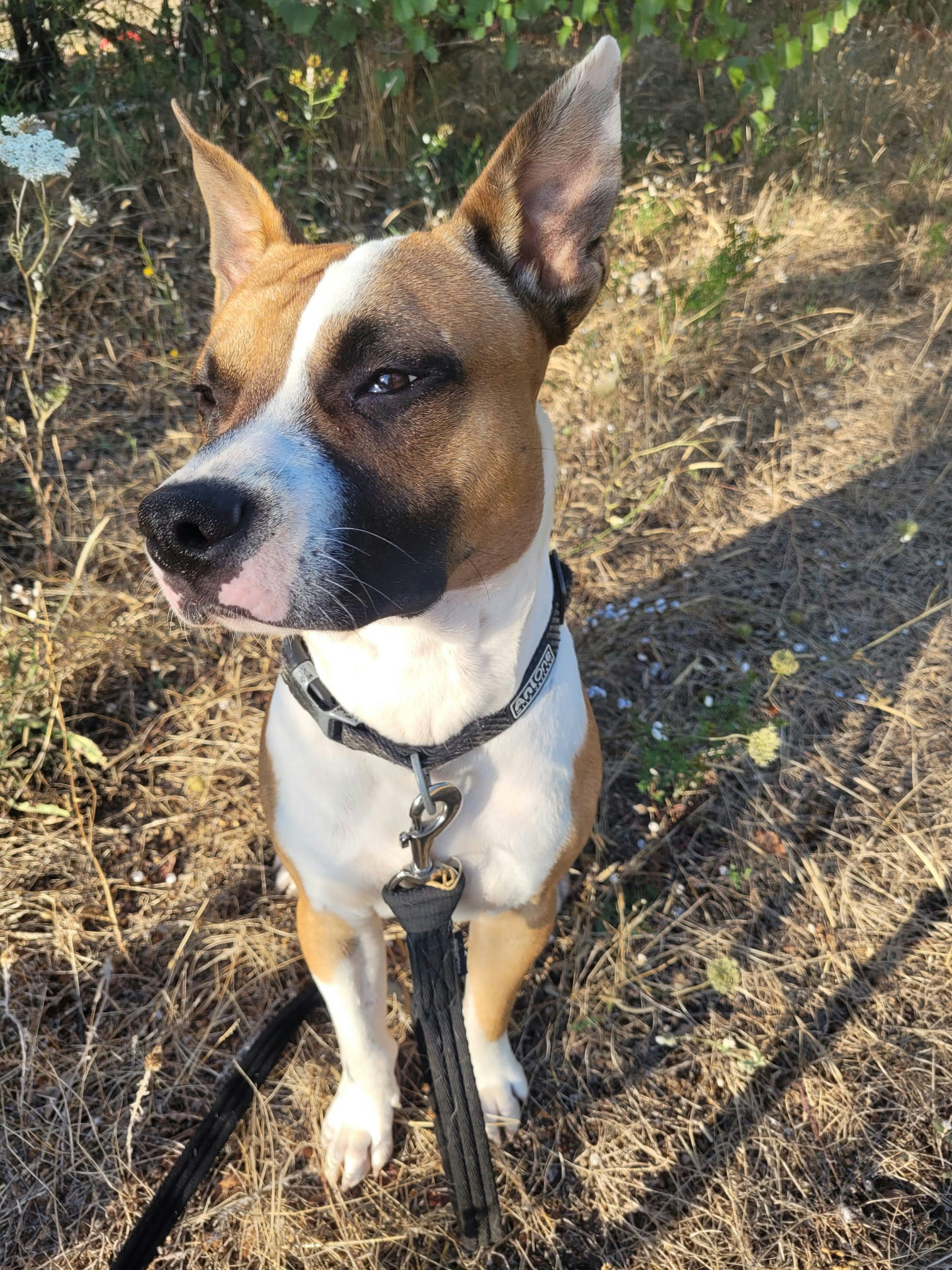 Portrait Tonka joueur - Les Amis de Sam - Aix en Provence