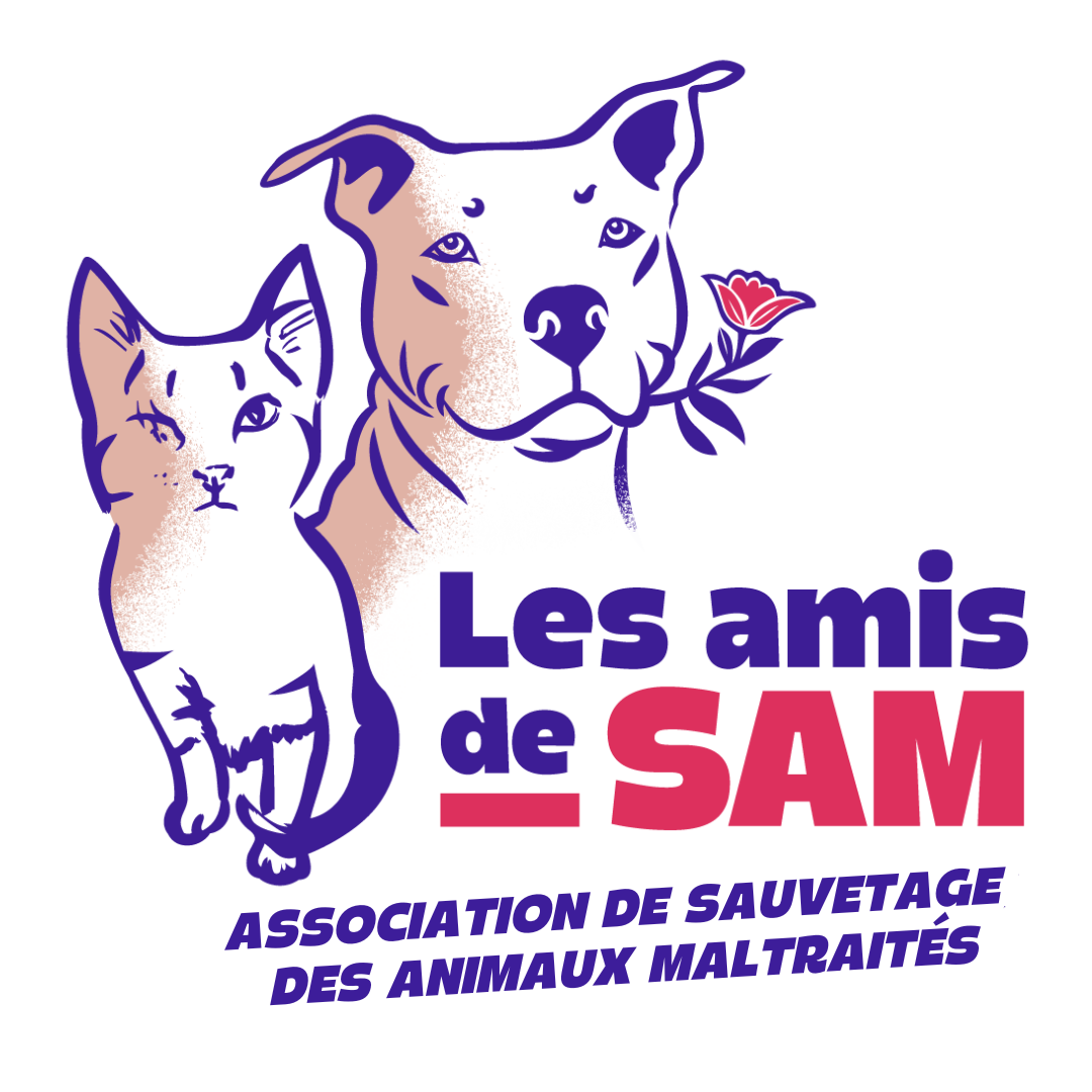 Logo Association Les Amis de Sam - Protection et adoption animale - Aix en provence